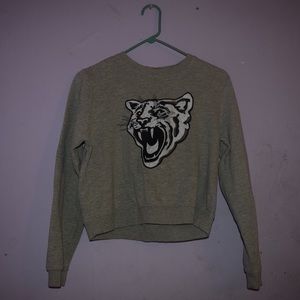 Pacsun Cropped Sweater